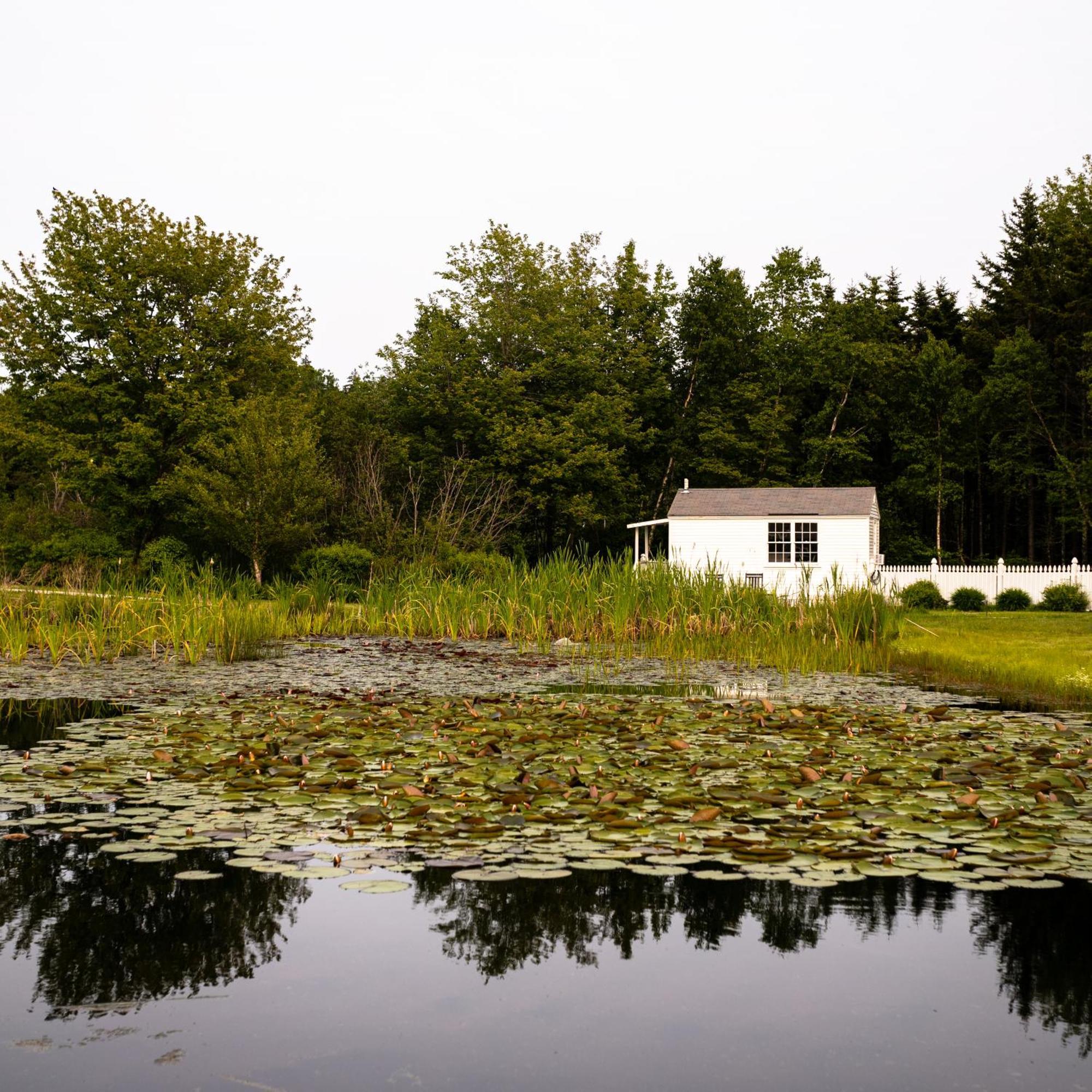 Bluebird Ocean Point Inn Buitenkant foto